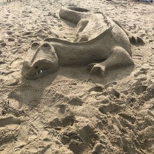 Meet your Posher, Teena